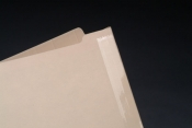 Mylar Reinforced Spine