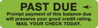 Patient Responsibility Labels, PAST DUE - Fl Green, 3" X 1-7/8" (Roll of 320)