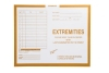 Extremities, Yellow #109 - Category Insert Jackets, System I, Open End - 14-1/4" x 17-1/2" (Carton of 250)