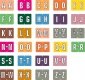 Data File Compatible Alpha Labels, Laminated Stock, 15/16" X 1-1/4" Individual Letters - Pack of 256